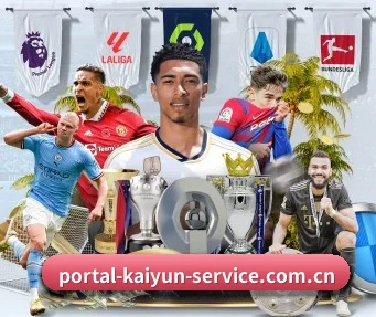 portal-kaiyun-service.com.cn APP
